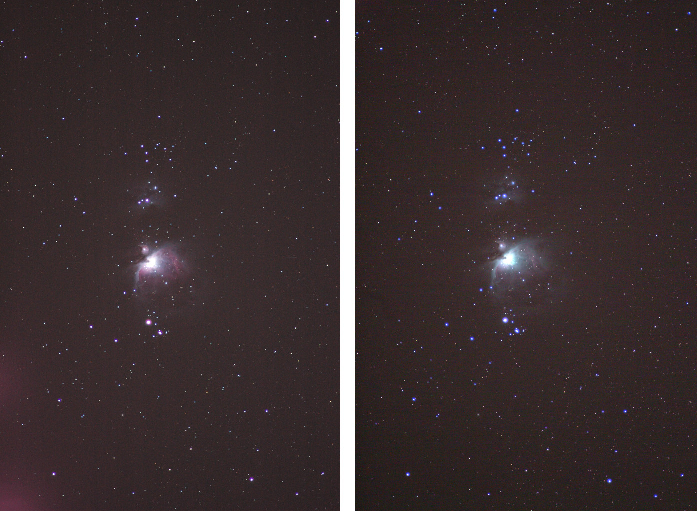 ニコン D70による作例（オリオン大星雲）