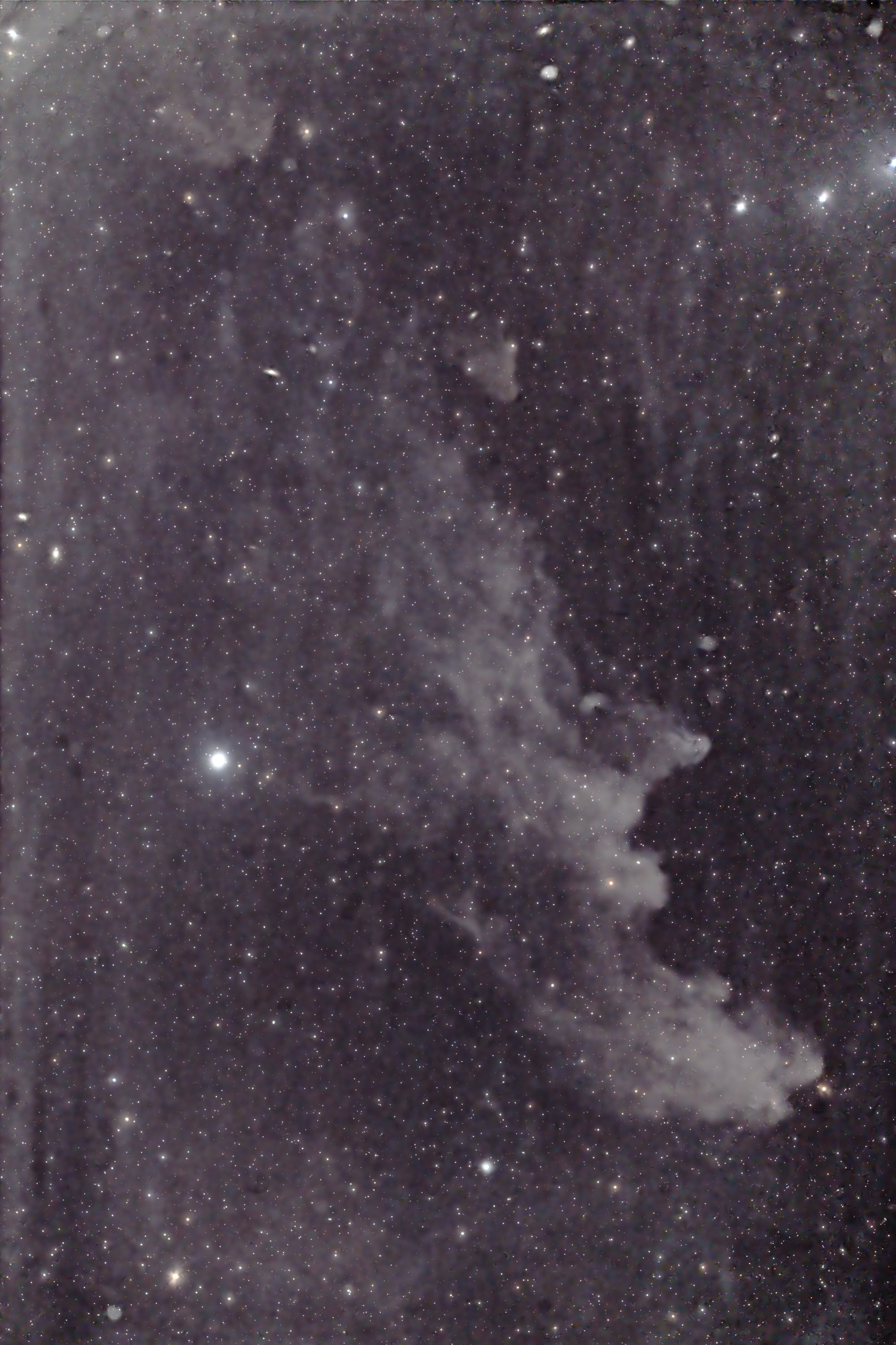 104836: IC2118 魔女の横顔星雲（エリダヌス座） by h1r0 - 天体写真