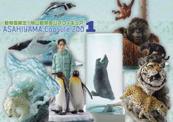 旭山動物園公式グッズ カプセルズーシリーズ
