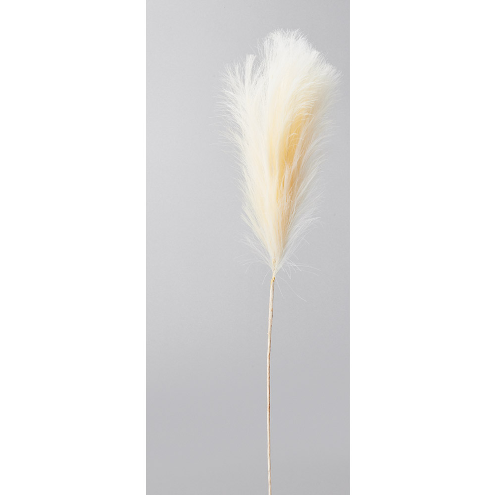 パンパス｜商品案内｜株式会社アスカ商会