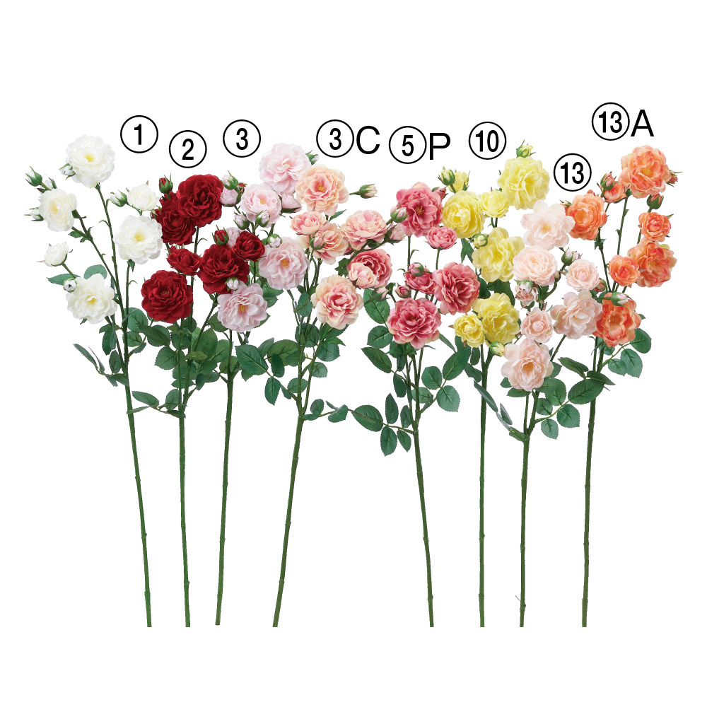 ローズ×7つぼみ×6｜商品案内｜株式会社アスカ商会