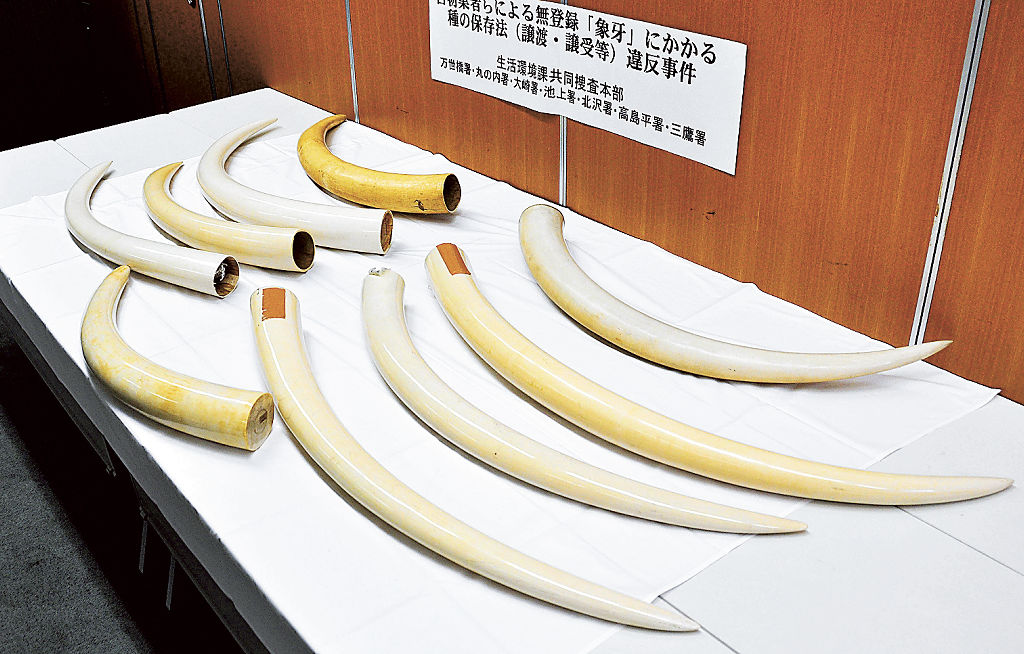 野生生物の国際取引を禁止、規制 産業、暮らしにも影響【ワシントン