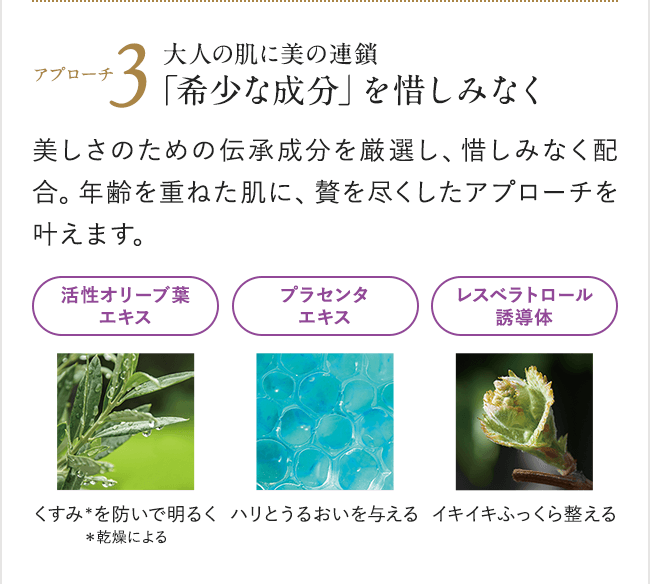 インナーエフェクター レフィル ＜つめかえ用レフィル＞| アテニア公式