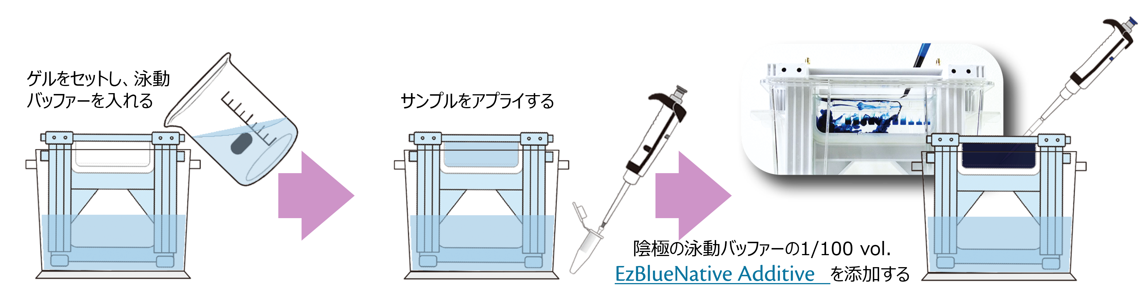 WSE-7067 EzBlueNative Additive | 泳動バッファー | 電気泳動試薬