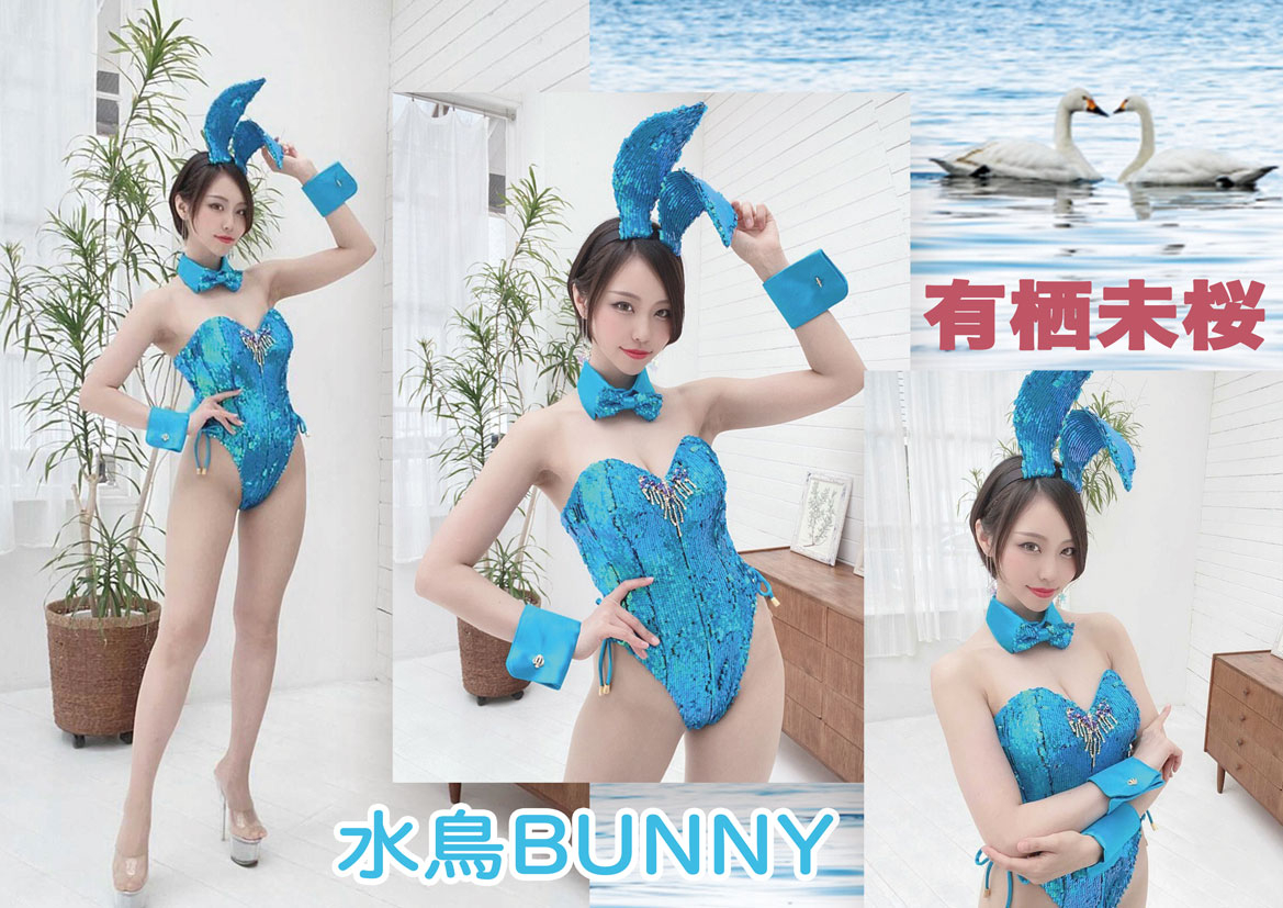 バニー衣装」実績ギャラリーオリジナル衣装・オリジナルコスチュームの