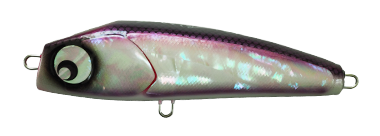 Giulia | Atoll アトール