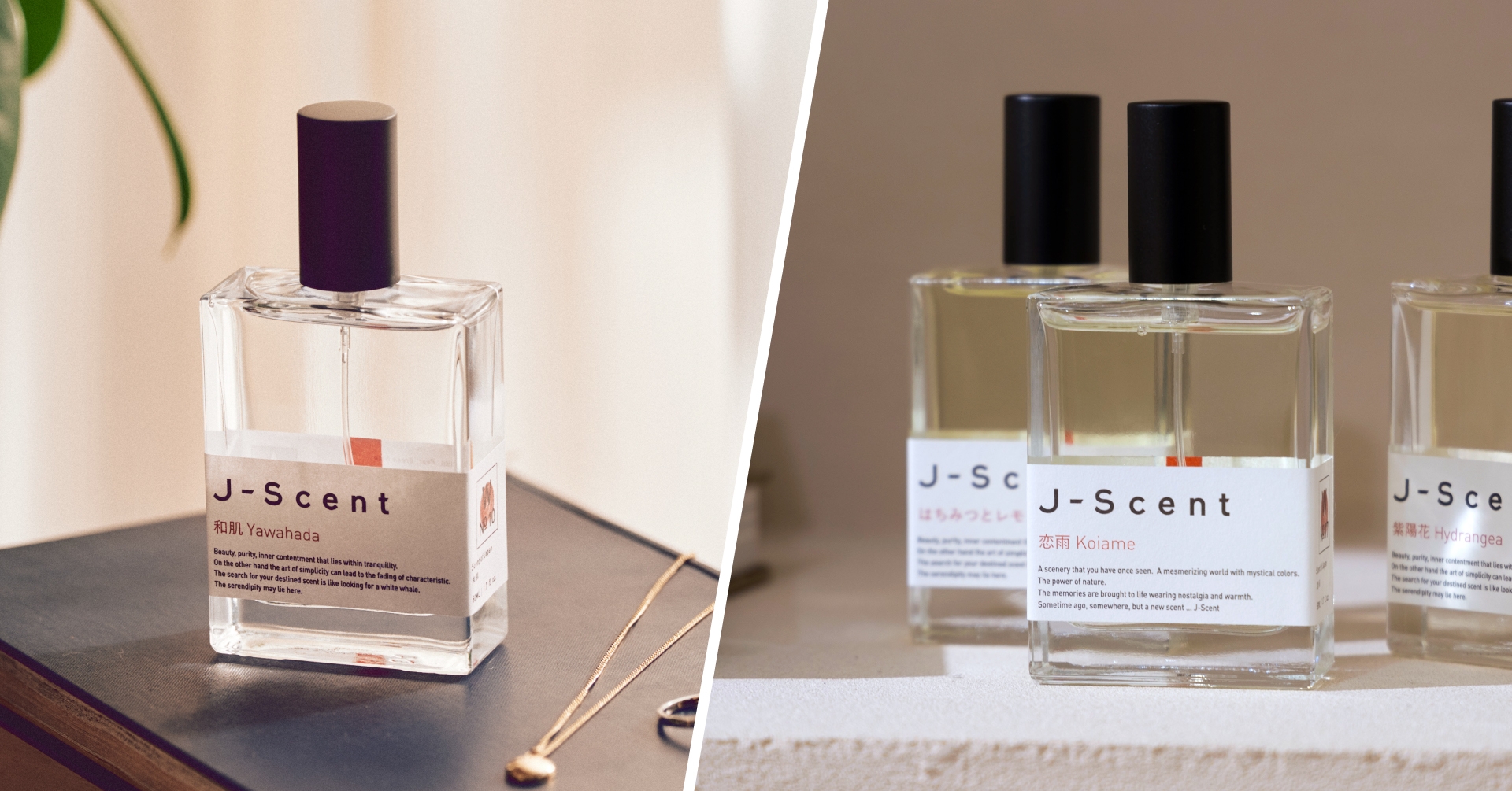 12月香水人気ランキング＞ちょうどいいのに、ありきたりじゃない。毎月