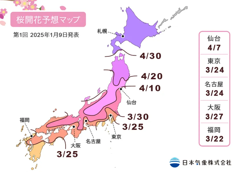 2025年「第1回桜の開花・満開予想」を発表 開花一番乗りは高知・福岡