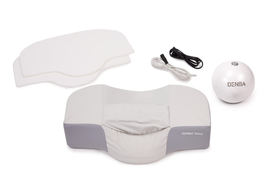 飲食業界の厨房革命！ 業務用冷凍冷蔵庫後付け「DENBA Fresh Pro」販売