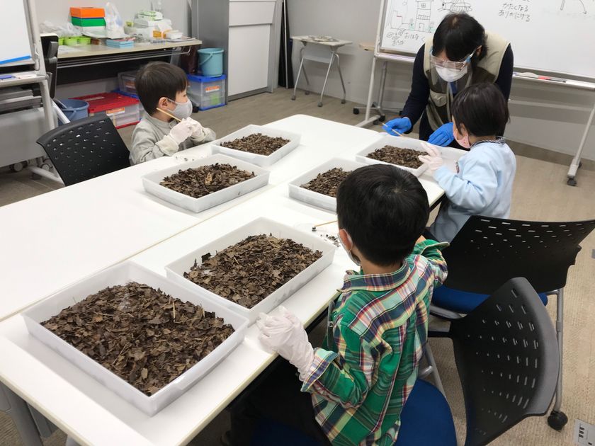 早稲田こどもフィールドサイエンス教室」が 自宅でできる簡単実験教材