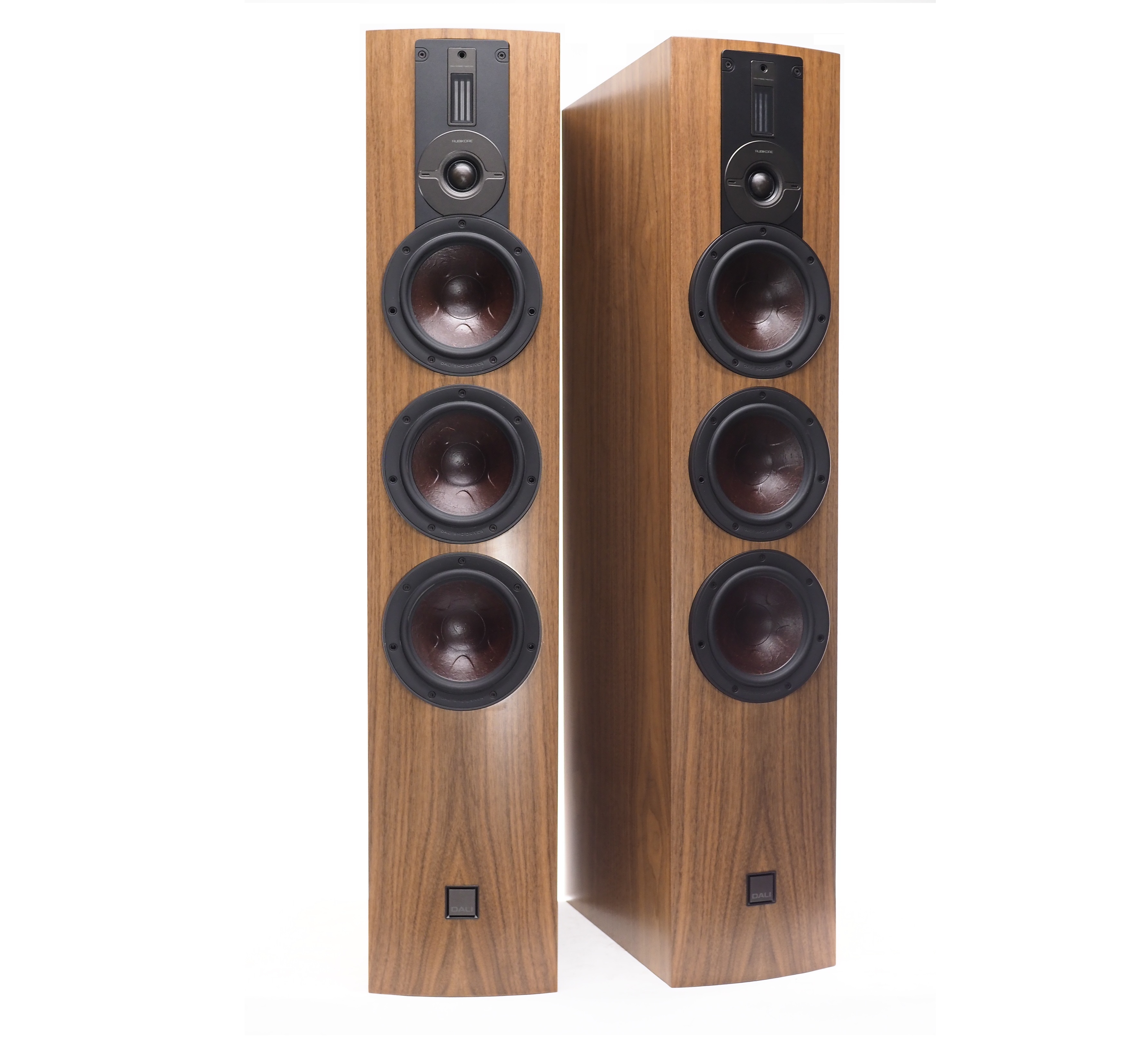 アバックWEB-SHOP / ALTECO C1 [ブラックアッシュ] DALI [ダリ] マルチ