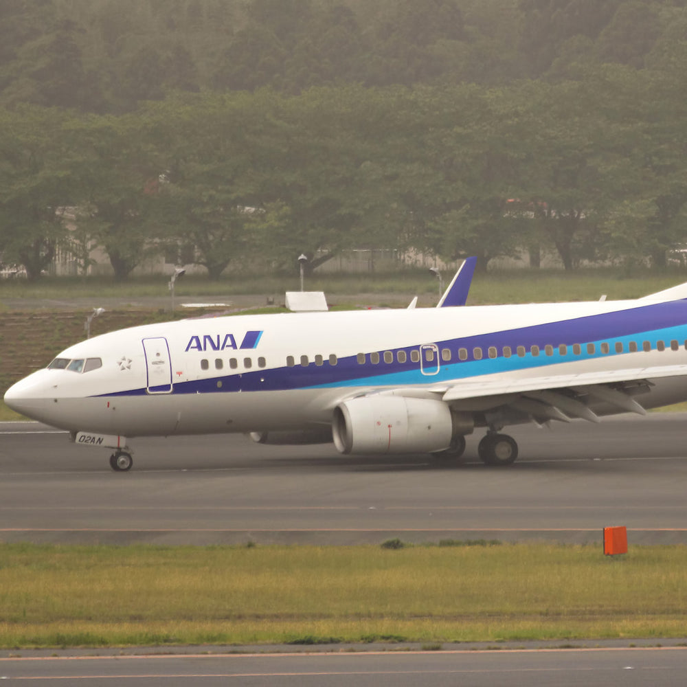 ANA_Boeing-737_square_20_1000x