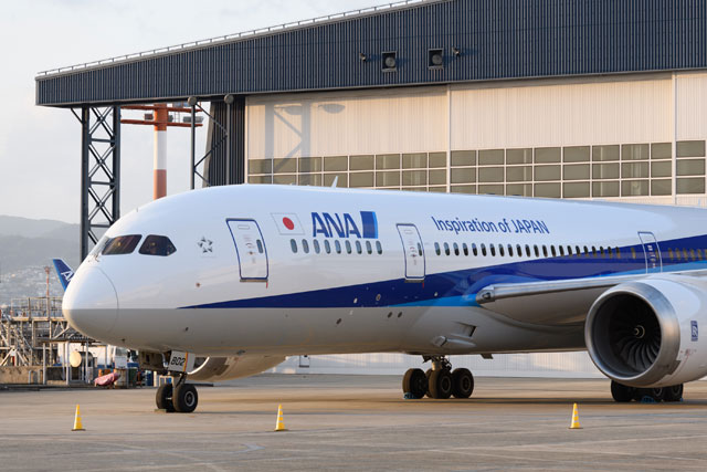 ANAの787、2号機も再塗装完了 就航時のデザイン消える