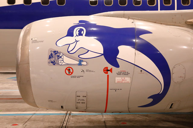 ANA、737-500に退役記念デカール スーパードルフィン3機に