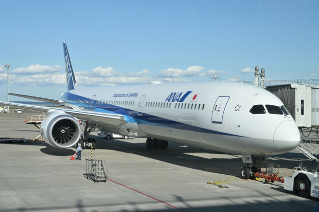 ANA、787-10急きょ羽田－札幌2往復目投入 関空に夜間駐機へ