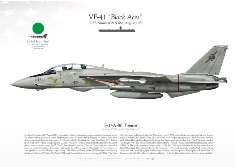 f-14a-tomcat-vf-41-black-aces-