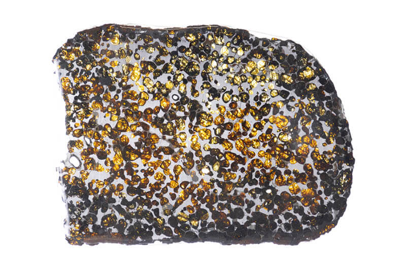 荒俣ワンダー秘宝館 特集展示「石は生きている」 | 角川武蔵野