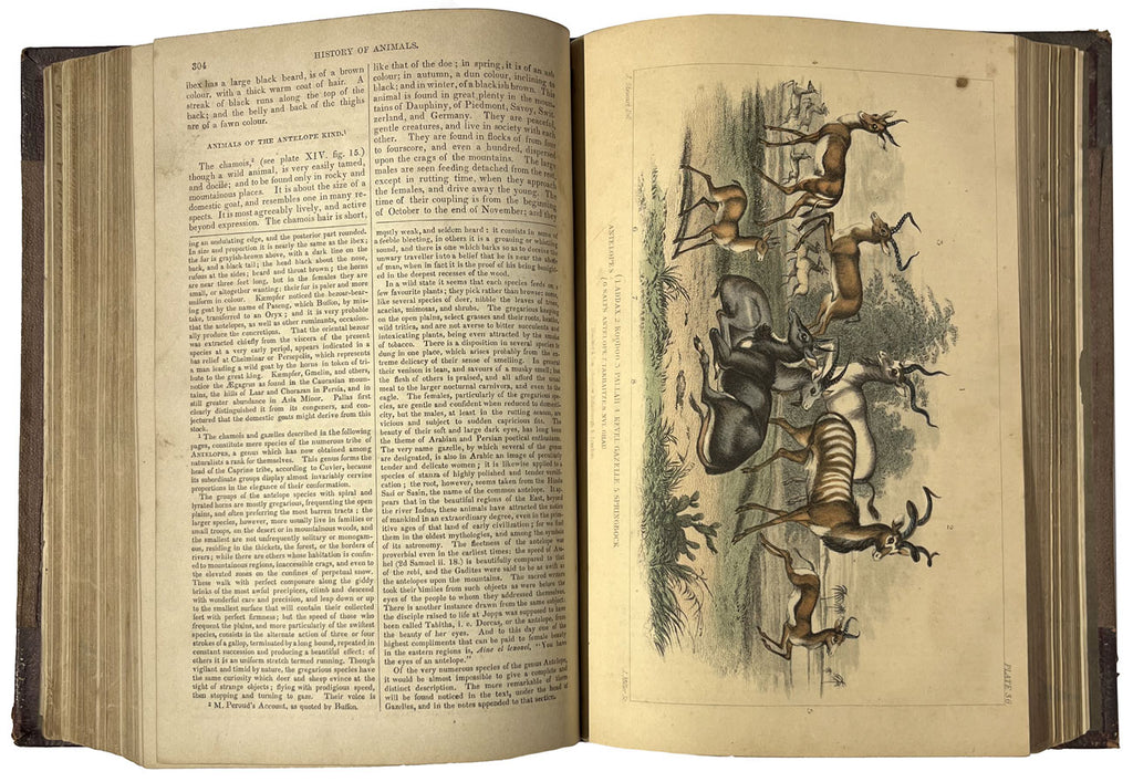A History of the Earth and Animated Nature, Vol. 1 and 2; 1866