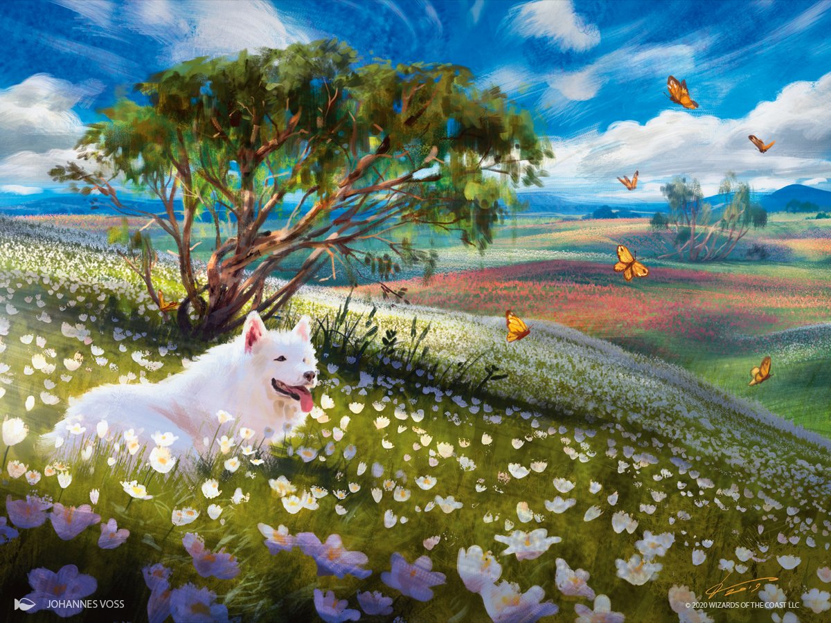 Plains MtG Art from Jumpstart Set by Johannes Voss - Art of Magic