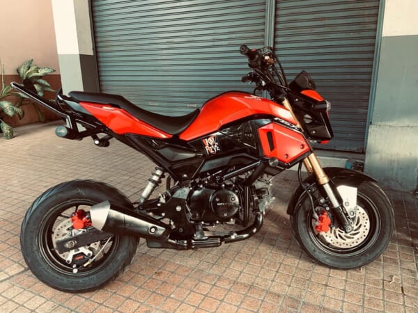 DKS グロム (13-20) スタントには必須 スタントケージ｜AxxL