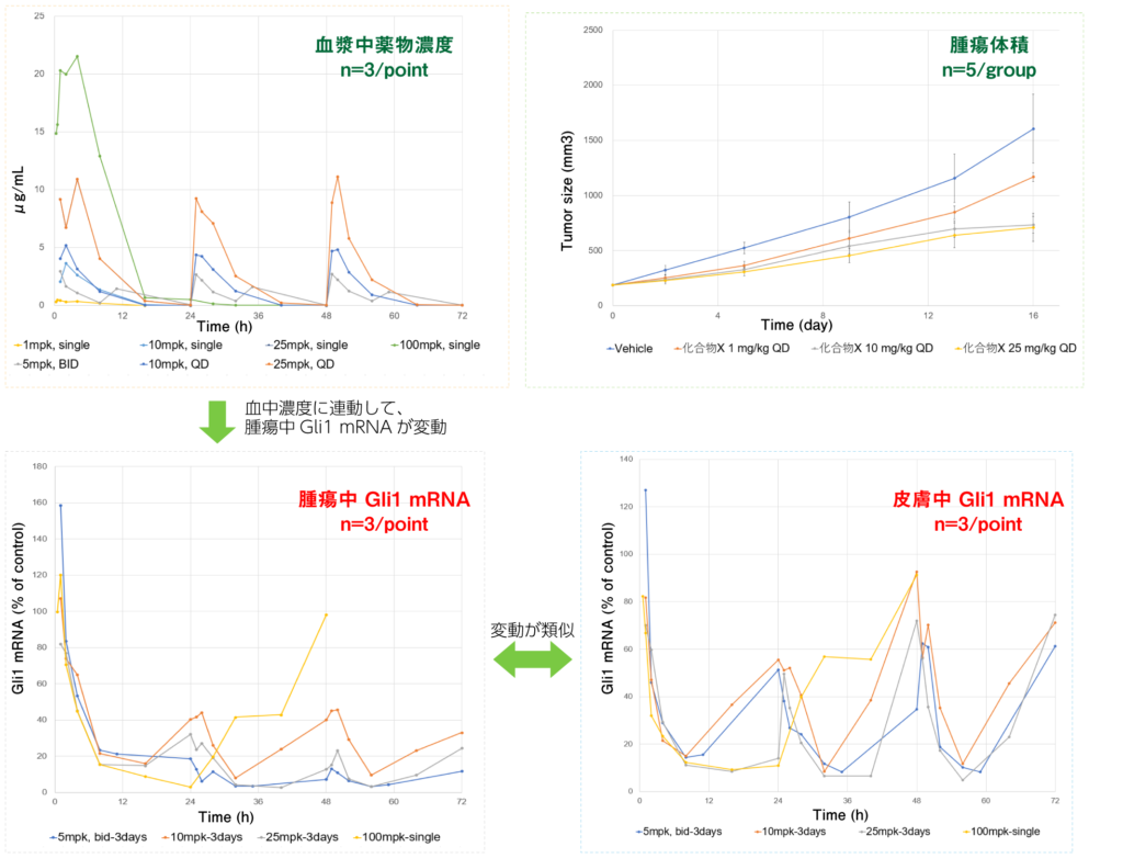 バイオマーカーを用いたM&Sの実例 - Axcelead Drug Discovery Partners