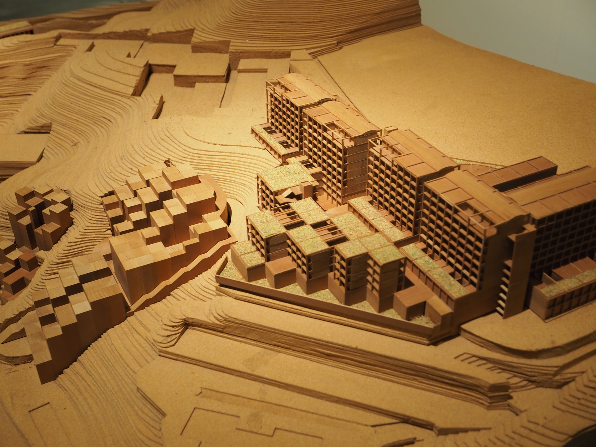 世界的建築家の仕事を一望する 「安藤忠雄展｜青春」が開催中 | AXIS