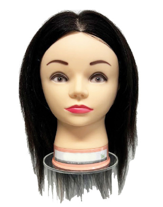 ユーカリ 国家試験練習用ウィッグ 24-2cut BCの業務用通販サイト【b