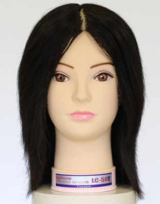 レジーナ 国家試験カッティング課題練習用カットウィッグ LC-50T[美容