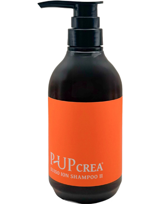 フロンテ P-UP(ピーアップ) ボディフィーリング(入浴剤) 1000gの業務用