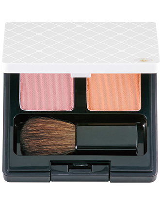 ┃廃番┃アジュバン プリンシェル P-プロテクトR2 40gの業務用通販