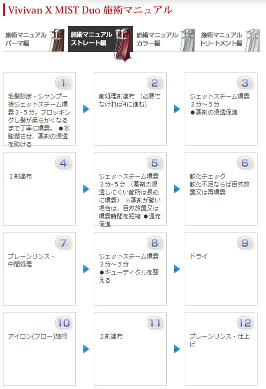 ┃廃番┃大広製作所 ヴィヴィアンX ミストデュオ 200V ダブル スーパー
