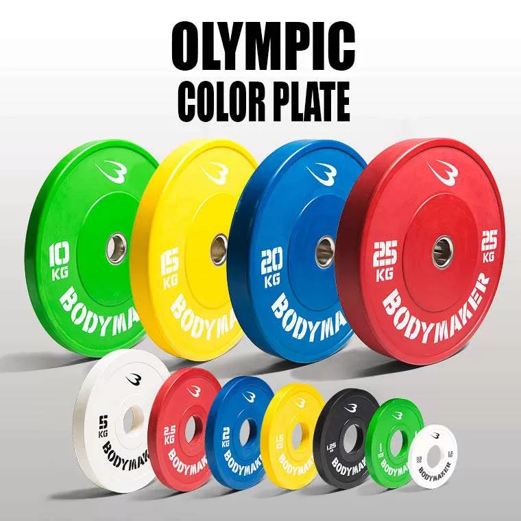 オリンピックカラープレート1KG 2枚セット PR010ST100｜BODYMAKER