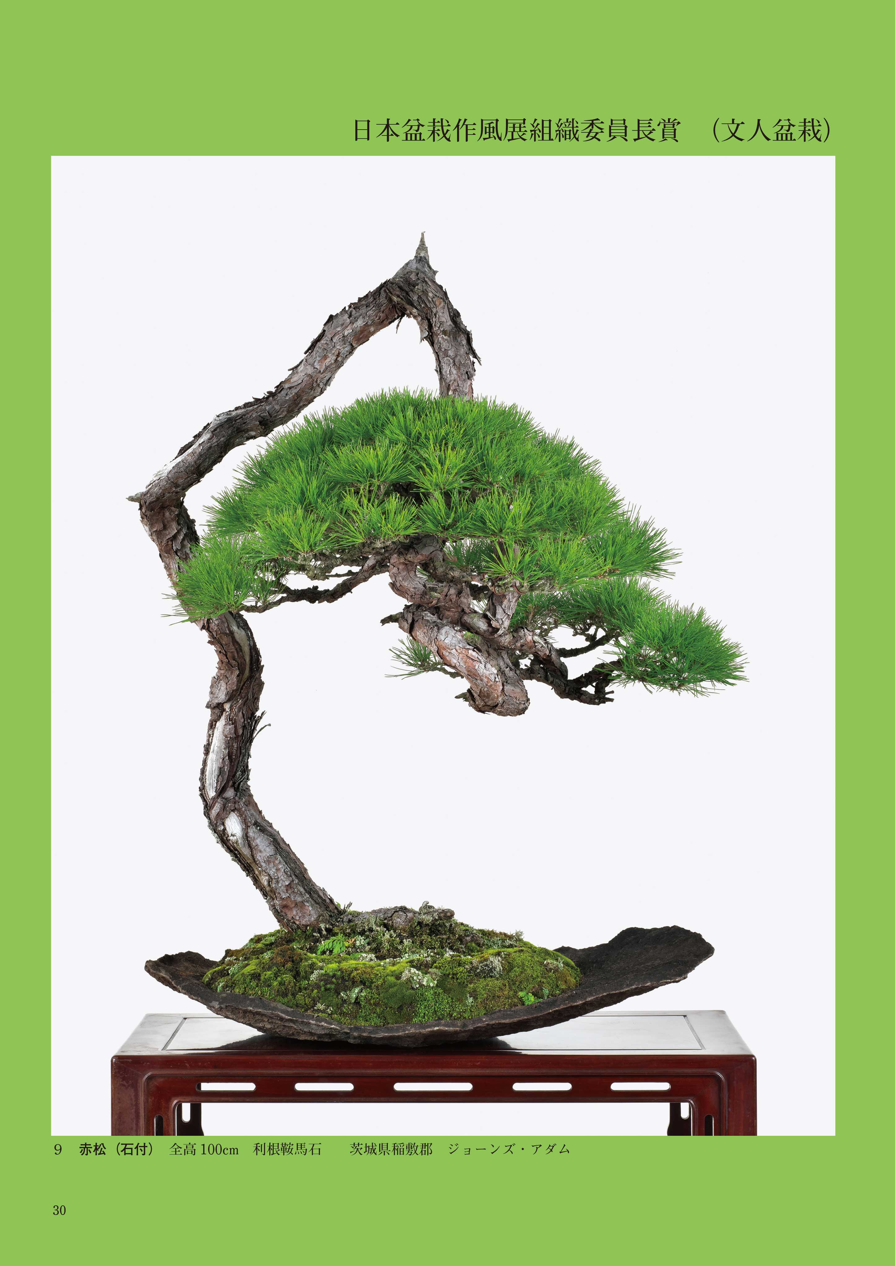 第50回 日本盆栽作風展 記念帖 | 盆栽、盆栽書籍、盆栽鉢の通販│近代出版