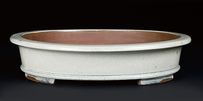 白交趾外縁下紐楕円鉢〔陶元交趾〕 | 盆栽、盆栽書籍、盆栽鉢の通販