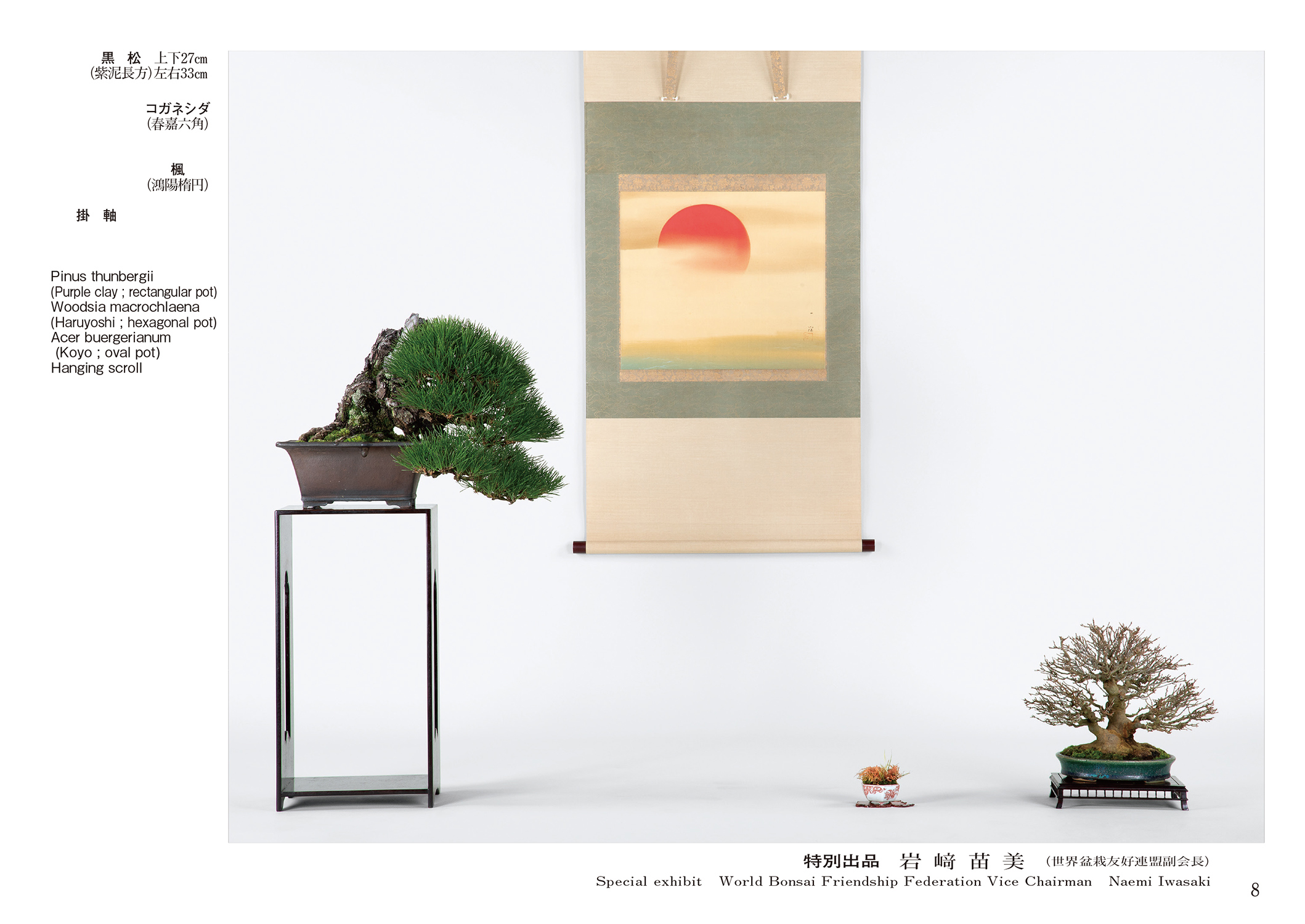 第49回 雅風展記念帖 | 盆栽、盆栽書籍、盆栽鉢の通販│近代出版