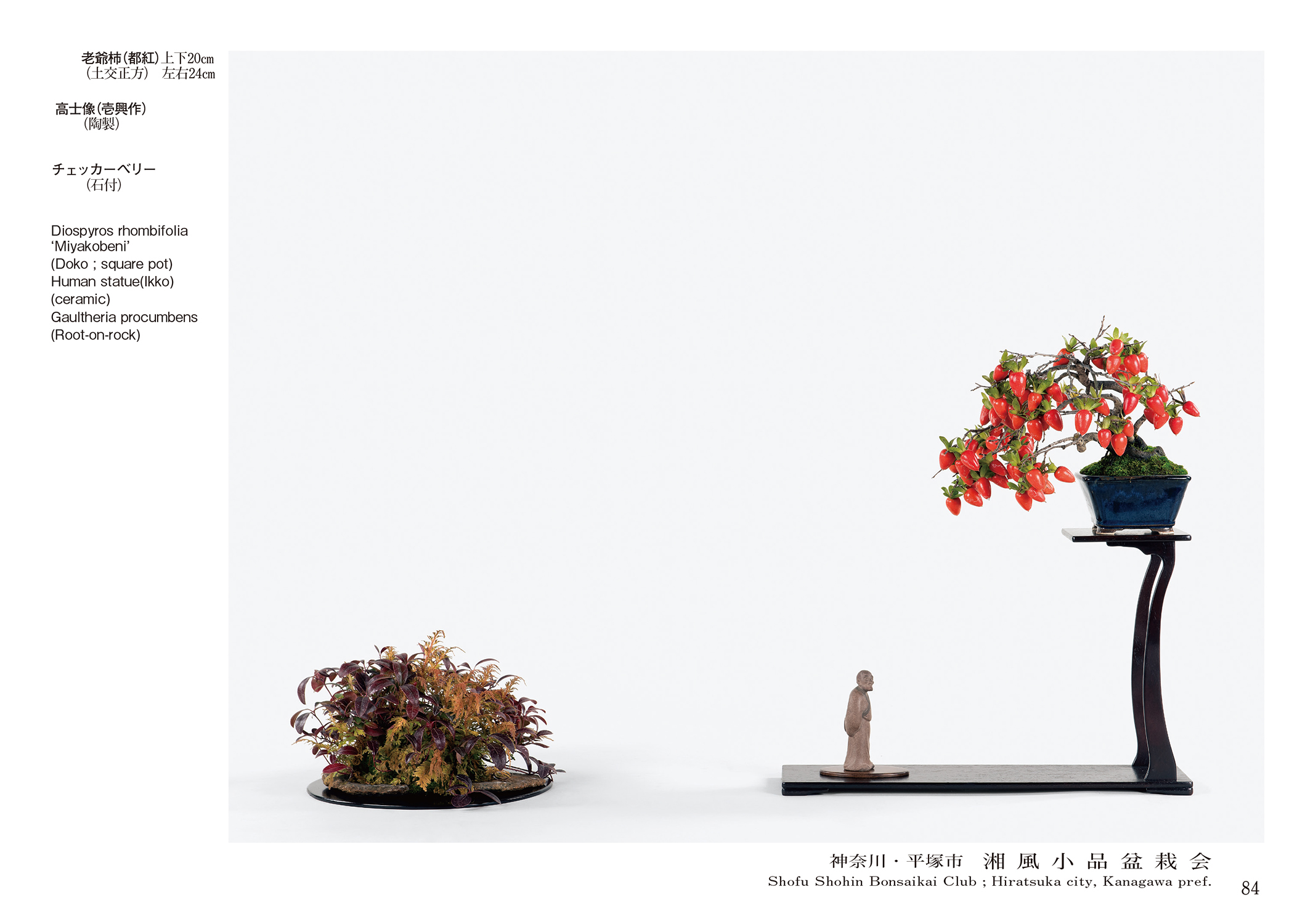 第49回 雅風展記念帖 | 盆栽、盆栽書籍、盆栽鉢の通販│近代出版