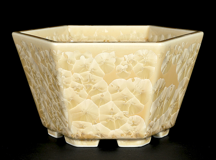 平安泉山黄花結晶六角鉢 | 盆栽、盆栽書籍、盆栽鉢の通販│近代出版