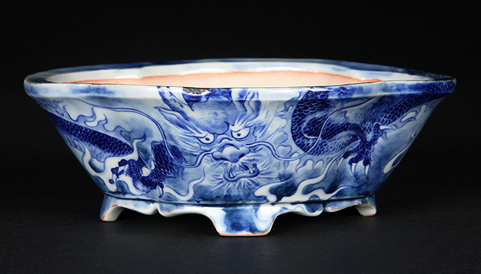 玲雀染付龍図木瓜式鉢 | 盆栽、盆栽書籍、盆栽鉢の通販│近代出版