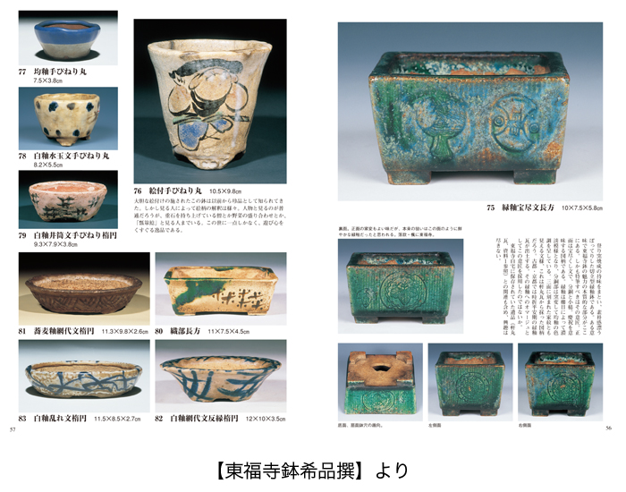 盆栽名鉢シリーズ「平安東福寺」 | 盆栽、盆栽書籍、盆栽鉢の通販