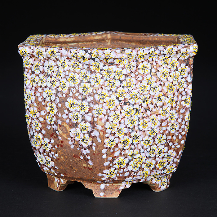 渋草焼柳造窯 | 盆栽、盆栽書籍、盆栽鉢の通販│近代出版