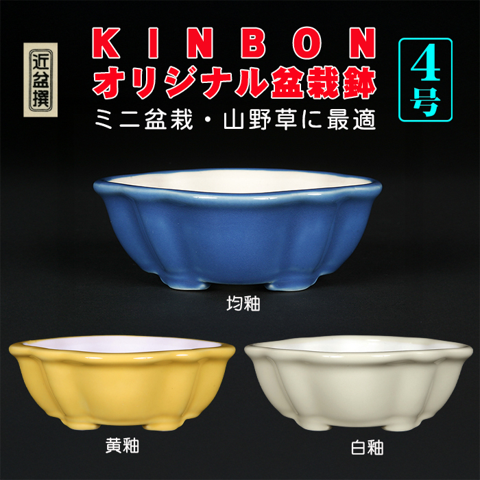KINBONオリジナル盆栽鉢 木瓜型 | 盆栽、盆栽書籍、盆栽鉢の通販│近代出版