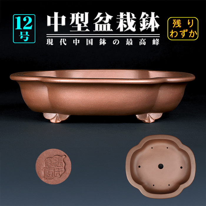 紫泥外縁木瓜式鉢 | 盆栽、盆栽書籍、盆栽鉢の通販│近代出版