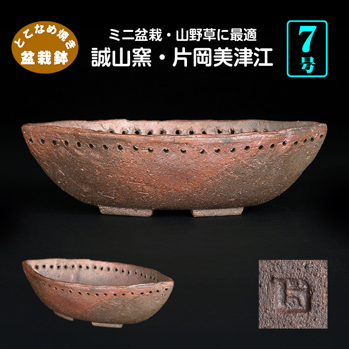 誠山窯 片岡美津江 | 盆栽、盆栽書籍、盆栽鉢の通販│近代出版