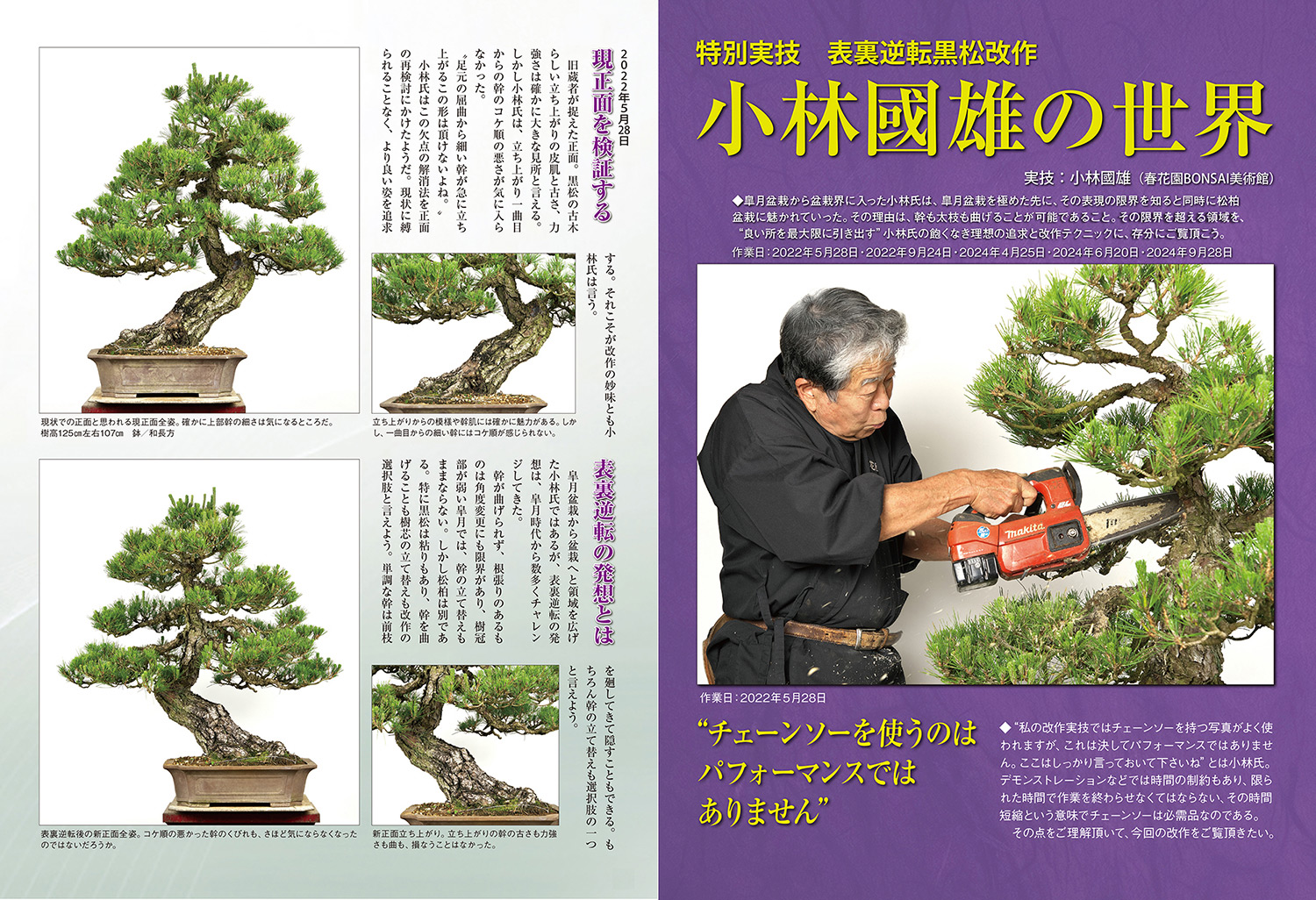 月刊「近代盆栽」2025年1月号 | 盆栽、盆栽書籍、盆栽鉢の通販│近代出版