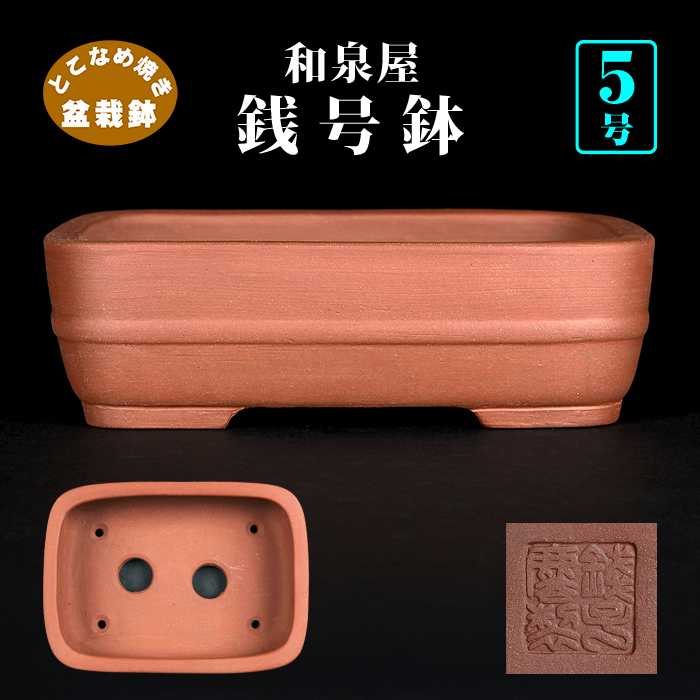 銭号胴紐長方鉢 | 盆栽、盆栽書籍、盆栽鉢の通販│近代出版
