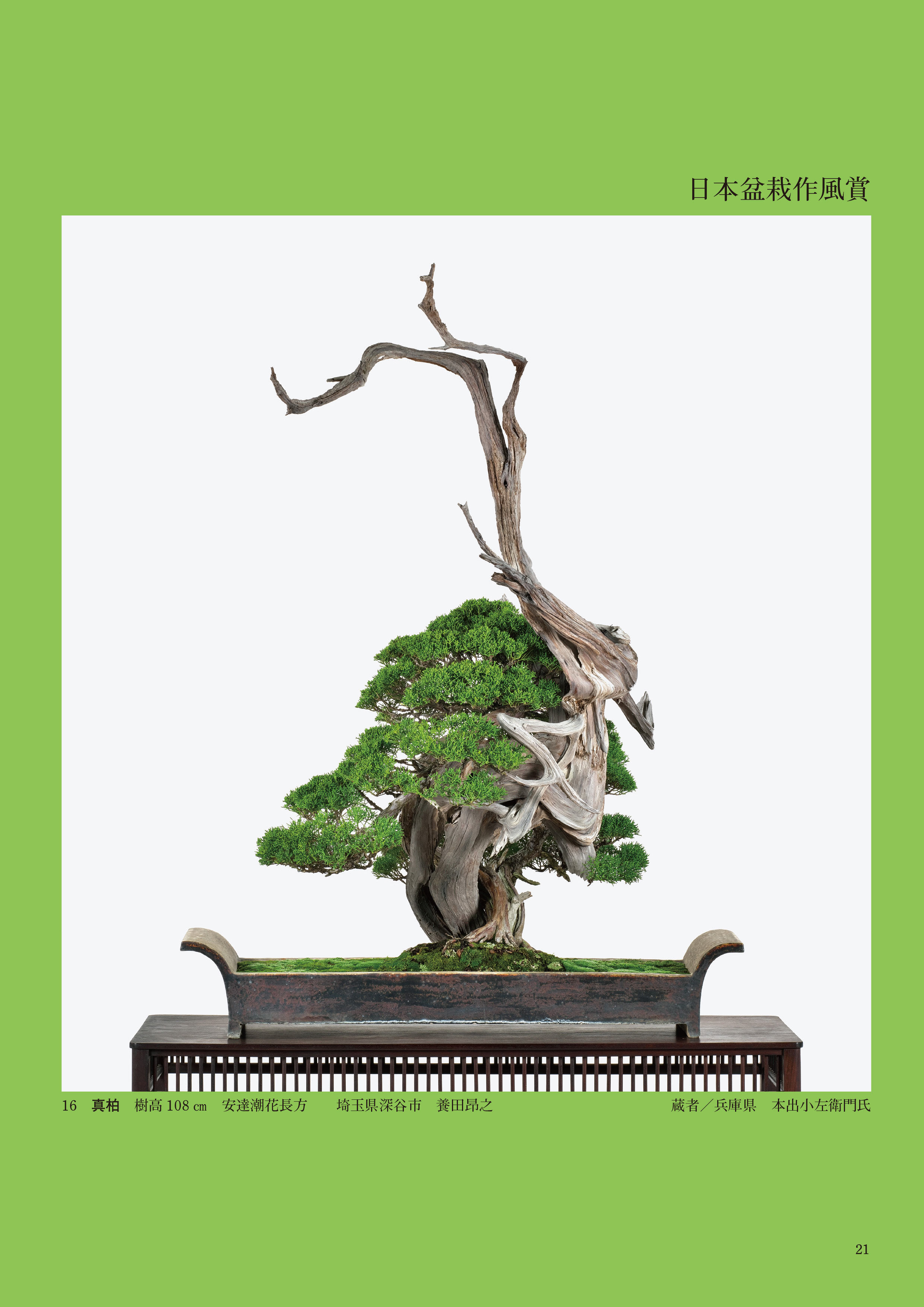 第51回 日本盆栽作風展 記念帖 | 盆栽、盆栽書籍、盆栽鉢の通販│近代出版