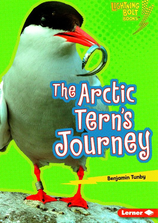 Arctic Tern's Journey (Lightning Bolt Books: Amazing Migrators)