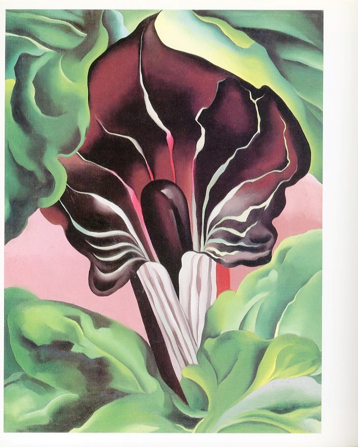 Georgia O'Keeffe: One Hundred Flowers / 著：ジョージア・オキーフ