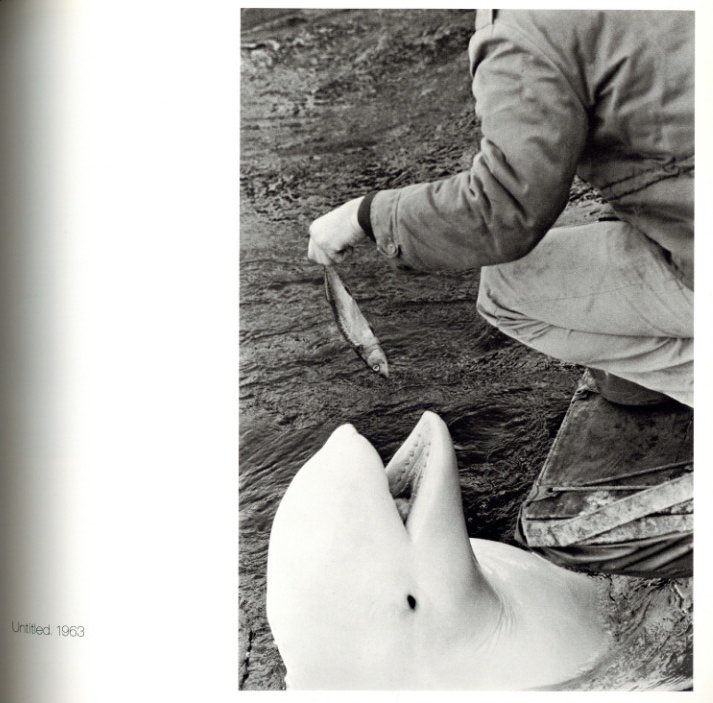 WINOGRAND FIGMENTS FROM THE REAL WORLD / Photo: Garry Winogrand