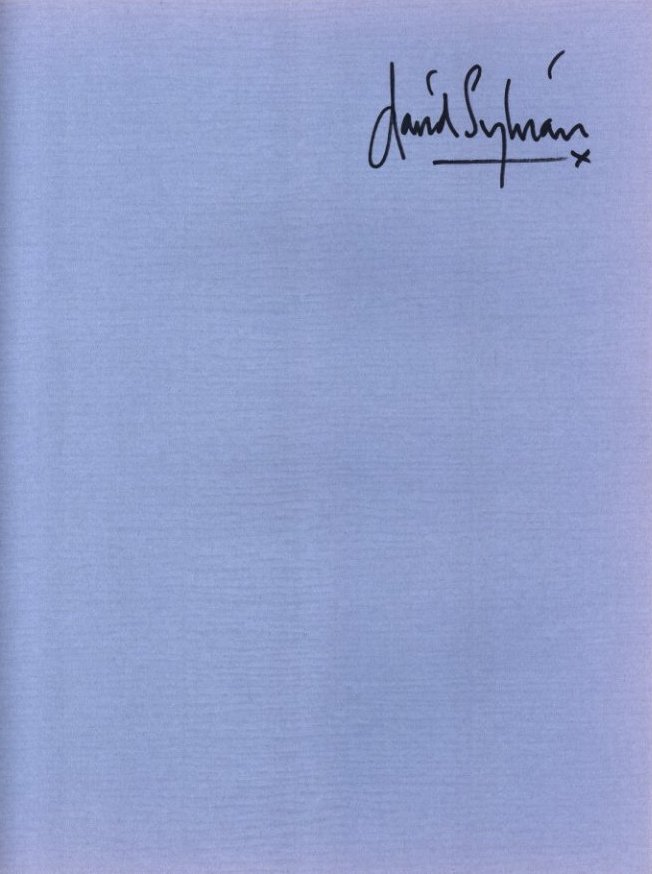 PERSPECTIVES Polaroids 82-84 / David Sylvian | 小宮山書店 KOMIYAMA